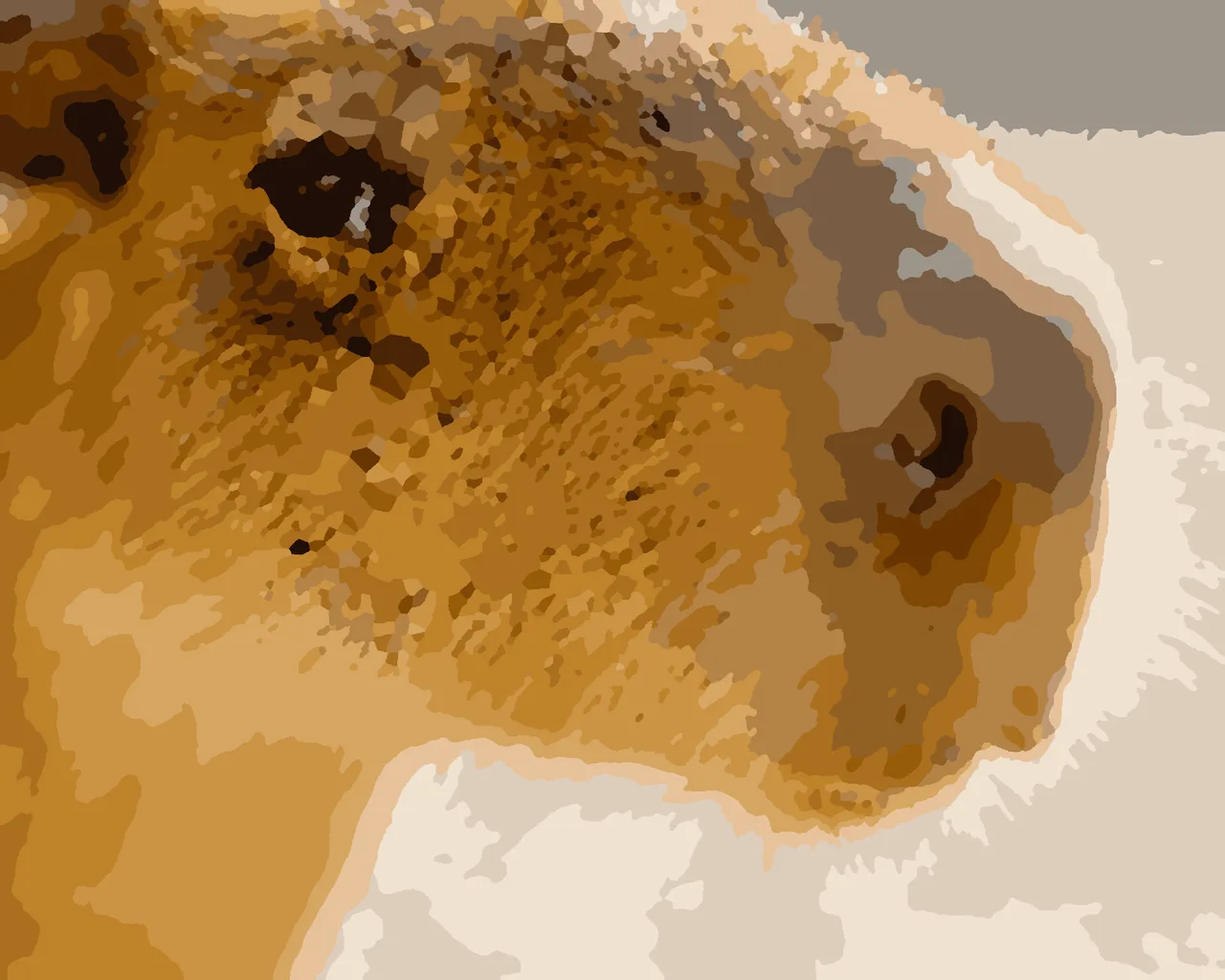 a capybara in close-up with warm ginger fur and long pale whiskers against soft sand, painted from the hello paint colour by number kit