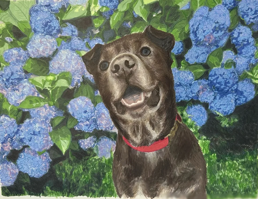 the same dog painted by hand from the hello paint colour by number kit