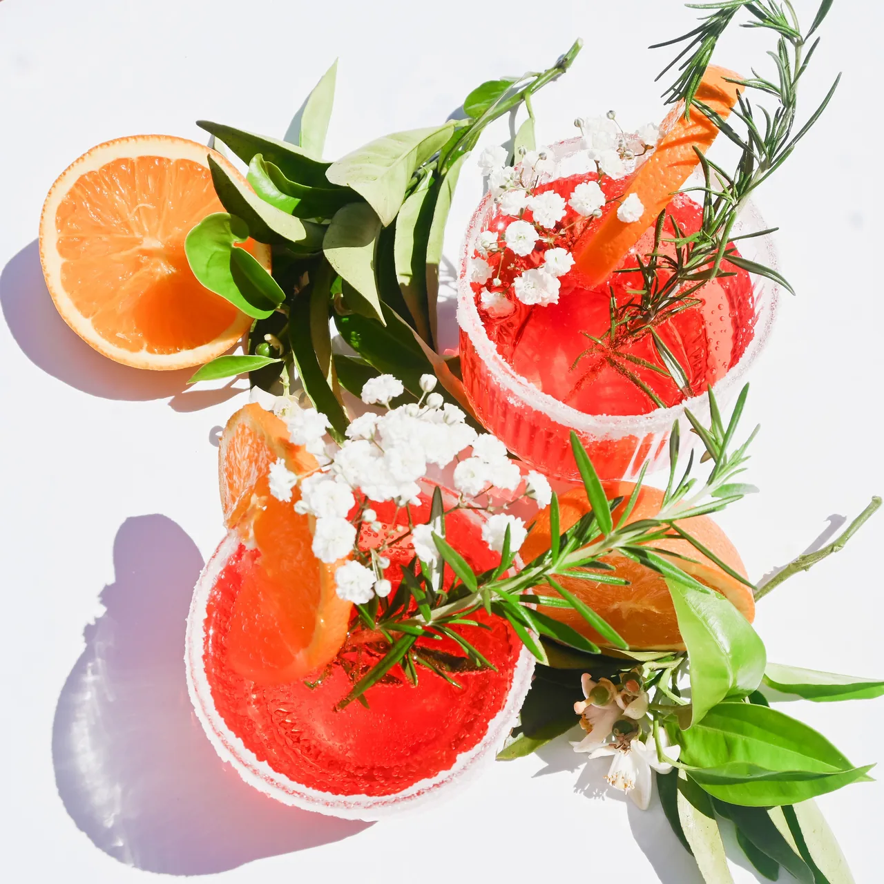 the original photo the grapefruit cocktails kit was made from
