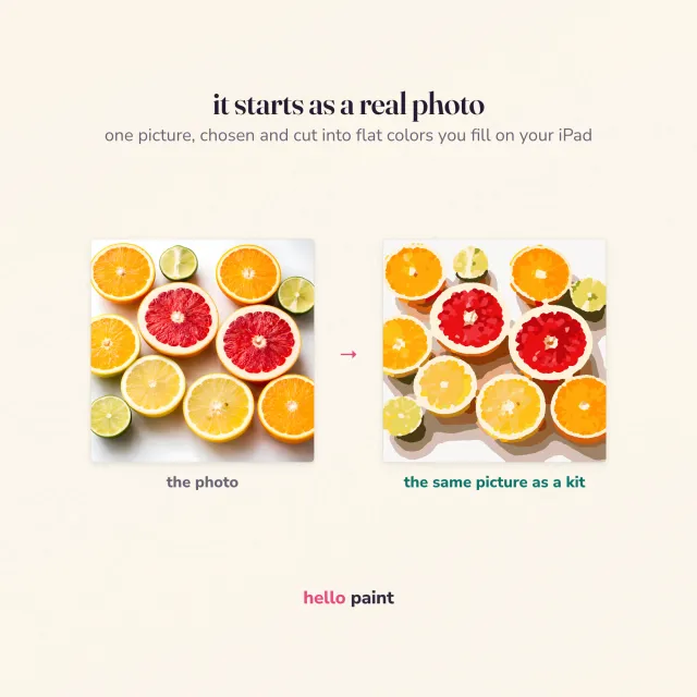 the photograph behind the citrus halves procreate kit beside the finished digital painting, showing how one photo becomes a paint by number template