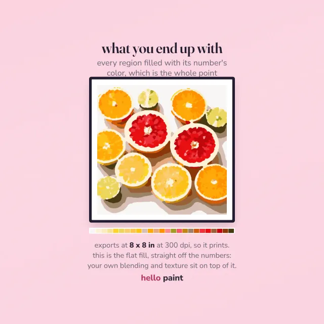 the finished citrus halves digital painting you end up with, oranges, pink grapefruit and lemons cut open and laid out from above, filled in on an ipad with every number and outline switched off