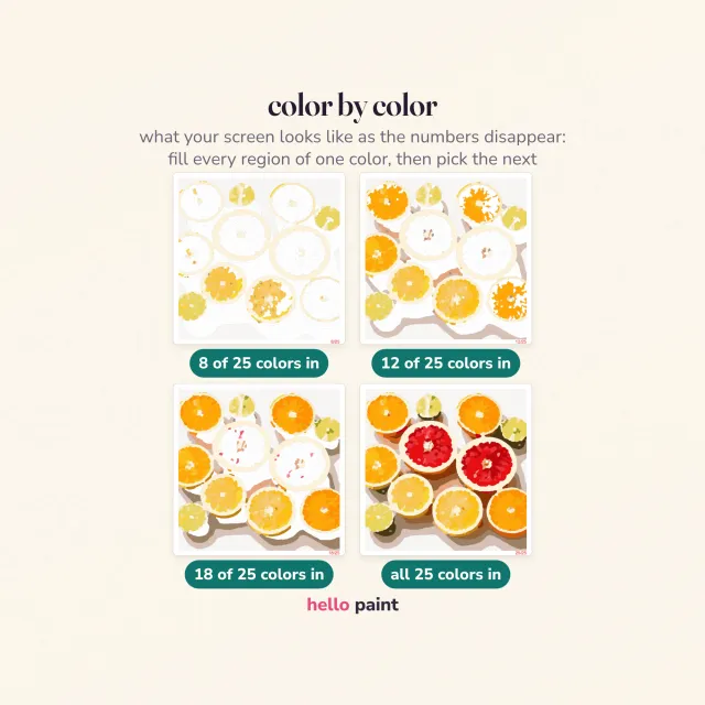 the citrus halves procreate template filled one color at a time, from the first color drop through to the finished digital painting