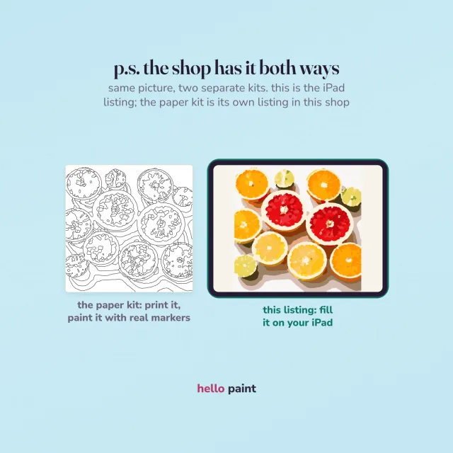 the same citrus halves picture two ways: this ipad procreate kit beside the printable paper version for alcohol markers, with the ipad listing marked